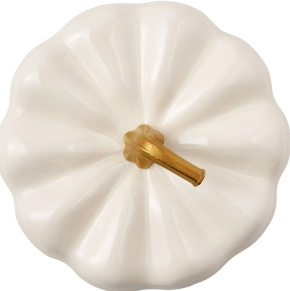 🎃NIB Pioneer Woman Linen pumpkin dutch oven - Picture 4 of 4